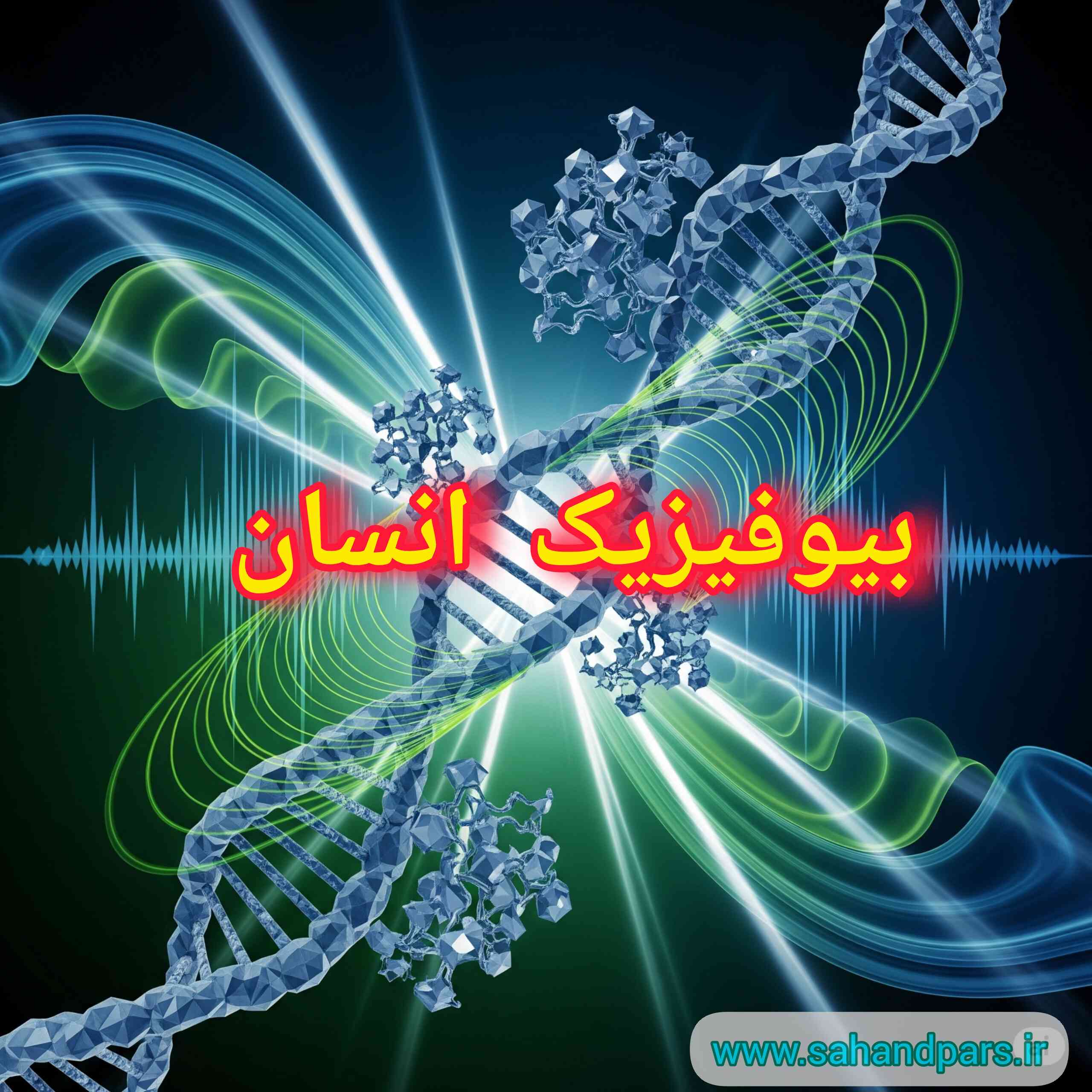 جزوه بیوفیزیک انسان